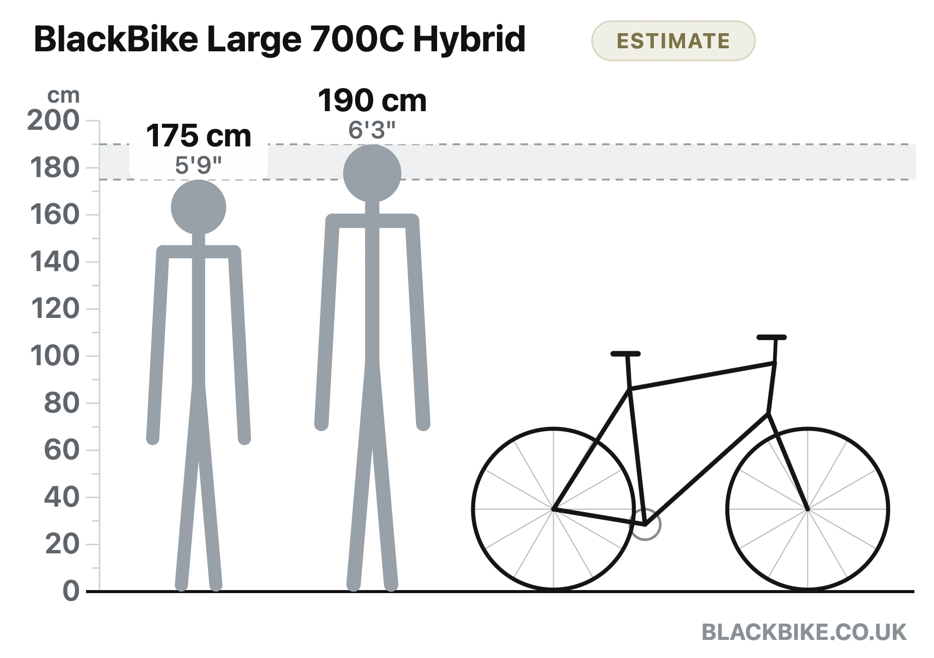 Bike size guide diagram: estimated rider fit 175 to 190 cm shown to scale beside the BlackBike Large 700C Hybrid from Black Bike UK